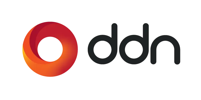 DDN Logo